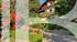 BARNES PAYS DE GEX - GRILLY - VILLA 8 ROOMS (2 apartments) - VIEW MONT-BLANC ALPS AND LEMAN LAKE