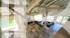 Property nestled in lush greenery at Mont d'Arbois with over 2ha of land