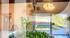 BARNES PAYS DE GEX - GRILLY - VILLA TO RENOVATE OF 10 ROOMS + ANNEX HOUSE - 1 HECTARE OF LAND