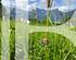BARNES SAINT-GERVAIS - Building Plot with View of the Mont-Blanc Massif
