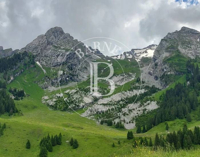 BARNES ARAVIS - LA CLUSAZ - BUILDING PLOT