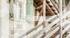 GRILLY – LISTED HISTORIC CHÂTEAU WITH APPROVED BUILDING PERMIT FOR FOUR PRESTIGIOUS APARTMENTS GRILLY – LISTED HISTORIC CHÂTEAU WITH APPROVED BUILDING PERMIT FOR FOUR PRESTIGIOUS APARTMENTS