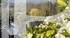 BARNES AIX LES BAINS - ARCHITECT-DESIGNED HOUSE - CHANAZ - LAND AND SWIMMING POOL