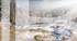 BARNES CHAMONIX - BUILDABLE LAND - 1617 m² - BREATHTAKING VIEW -LES HOUCHES