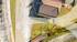 BARNES GENEVOIS - PERS JUSSY - BUILDING LAND BARNES GENEVOIS - PERS JUSSY - BUILDING LAND