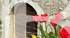 BARNES AIX LES BAINS - RENOVATED HOUSE WITH SWIMMING POOL - VILLAGE CENTRE - MÉRY
