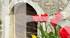 BARNES AIX LES BAINS - RENOVATED HOUSE WITH SWIMMING POOL - VILLAGE CENTRE - MÉRY