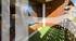 EXCLUSIVITY - BARNES SAINT-GERVAIS - GRATTAGUE AREA - PANORAMIC VIEW - QUIET ENVIRONMENT