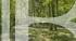 BARNES GENEVOIS - CRANVES SALES - EXCEPTIONAL BALI INSPIRED VILA BY YHE RIVER