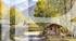 BARNES CHAMONIX - CHAMONIX - PLAINE DES PRAZ -  CHALET  RECENT - 3 CHAMBRES - VUE MASSIF MONT-BLANC