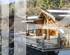 BARNES CHAMONIX -  EXCLUSIVITE - LES HOUCHES- COUPEAU - CHALET 4 CHAMBRES - TERRAIN DE 2 700 m² - VUE MONT-BLANC