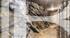 BARNES CHAMONIX -  EXCLUSIVITE - LES HOUCHES- COUPEAU - CHALET 4 CHAMBRES - TERRAIN DE 2 700 m² - VUE MONT-BLANC