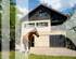 BARNES PAYS-DE-GEX - GRILLY - MAISON À RENOVER - TERRAIN DE 500 M2