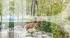 BARNES Annecy - ANNECY - ALBIGNY - APPARTEMENT REZ-DE-JARDIN FACE LAC - 3 CHAMBRES BARNES Annecy - ANNECY - ALBIGNY - APPARTEMENT REZ-DE-JARDIN FACE LAC - 3 CHAMBRES