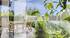 BARNES Pays de Gex – VILLA D'ARCHITECTE VUE ALPES ET JURA - DIVONNE-LES-BAINS