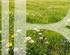 BARNES PAYS DE GEX – VERSONNEX – BUILDING PLOT