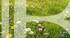 BARNES PAYS DE GEX – VERSONNEX – BUILDING PLOT BARNES PAYS DE GEX – VERSONNEX – BUILDING PLOT