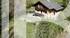 BARNES CHAMONIX - OFF-MARKET - EMPLACEMENT D'EXCEPTION BARNES CHAMONIX - OFF-MARKET - EMPLACEMENT D'EXCEPTION