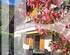 BARNES ARAVIS - VALLEE DE THONES- UNIQUE PROPERTY WITH MULTIPLE POSSIBILITIES