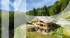 Luxury Chalet in the heart of the Aravis mountains - near Geneva Luxury Chalet in the heart of the Aravis mountains - near Geneva