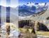 FERME DE 1805 A RENOVER