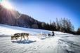 La Grande Odyssée Megève