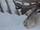 reindeer herding megeve