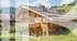 CHALET FIZZ CHALET FIZZ