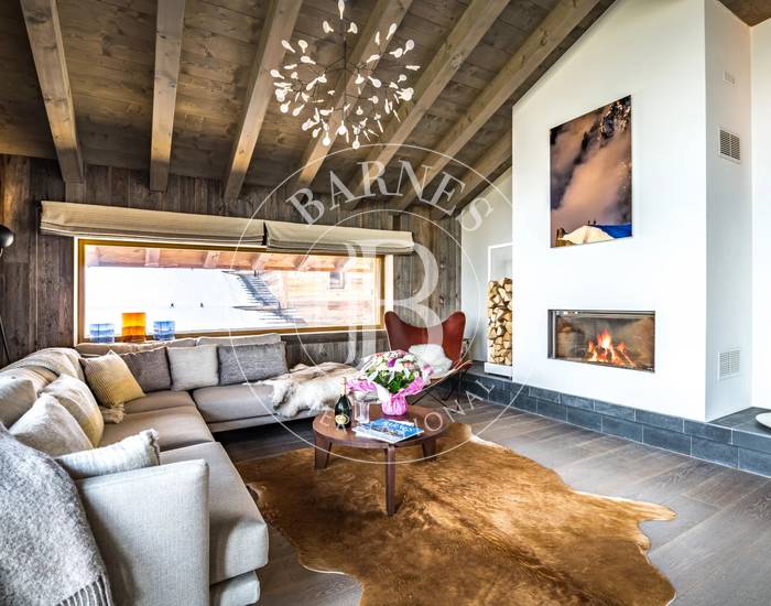 CHALET MERVEILLEUX